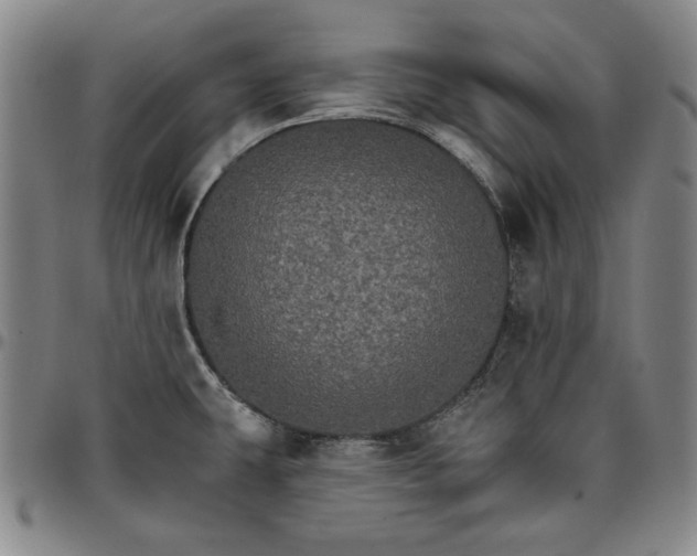 X0000096661431200802191256