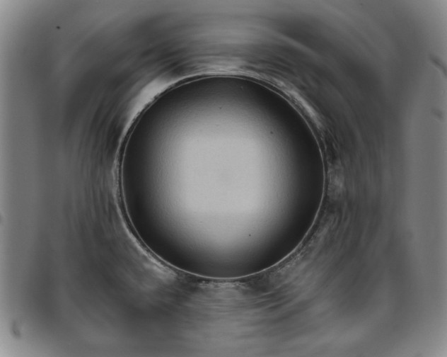 X0000096661432200802191256