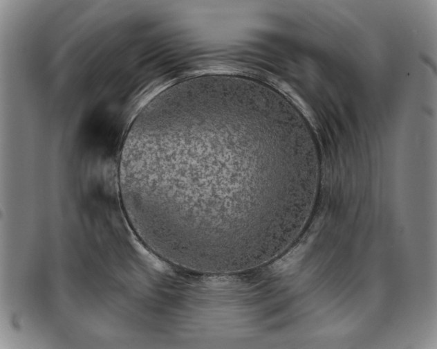 X0000096661433200802191256