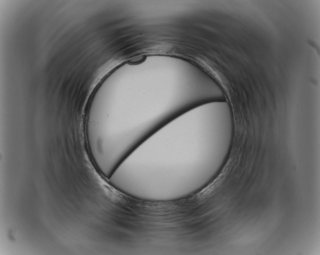 X0000096661434200802191256