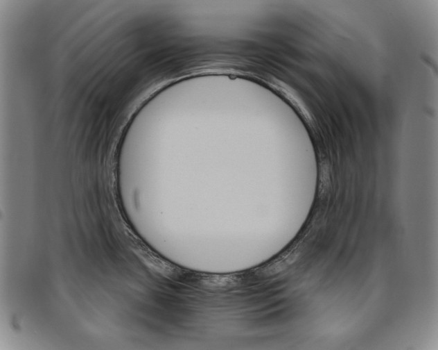 X0000096661435200802191256