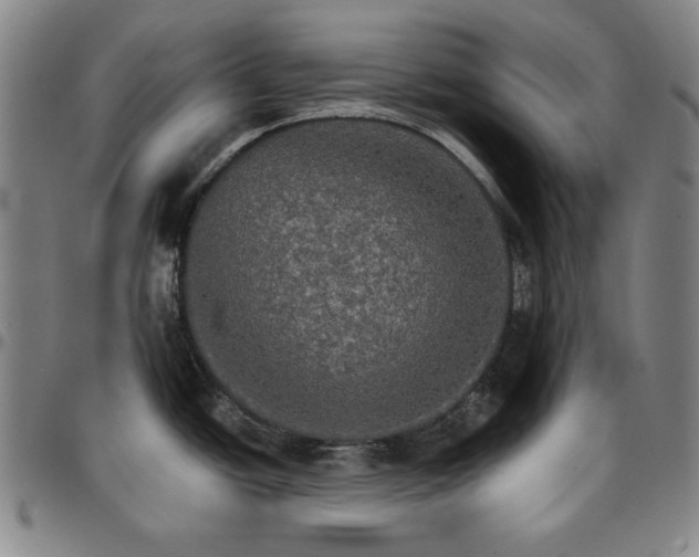 X0000096661438200802191256