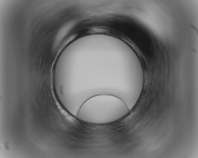 X0000096661439200802191256