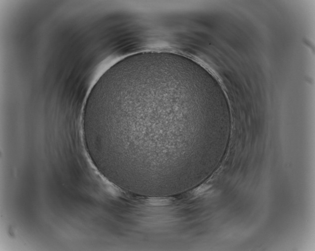 X0000096661440200802191256