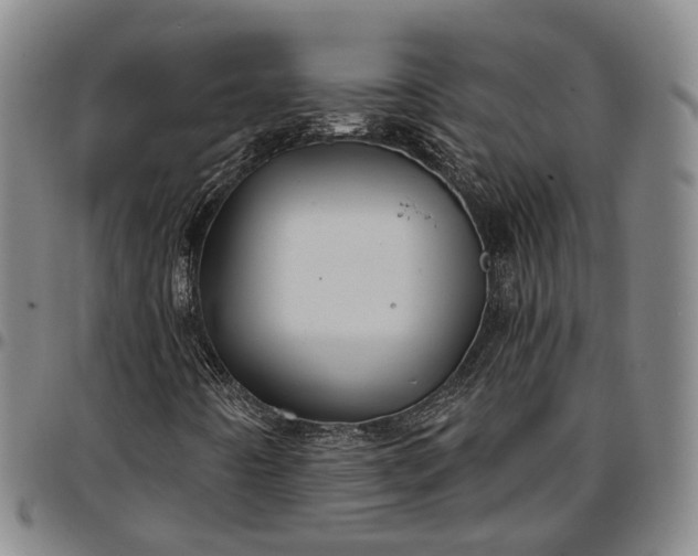 X0000096661442200802191255