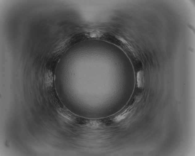 X0000096661443200802191255