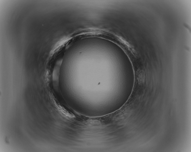 X0000096661448200802191255