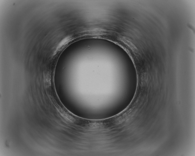 X0000096661451200802191255