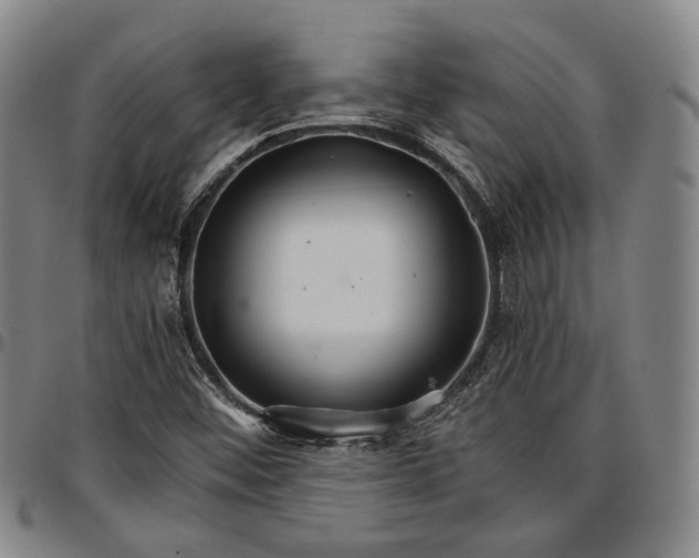 X0000096661452200802191255