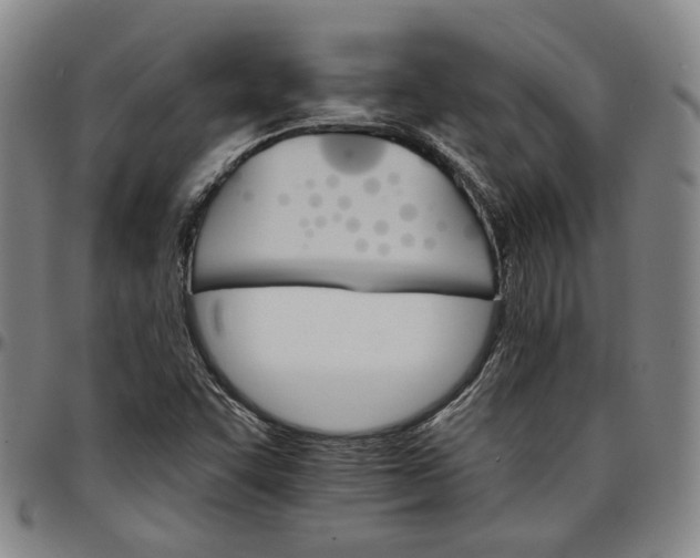 X0000096661455200802191255