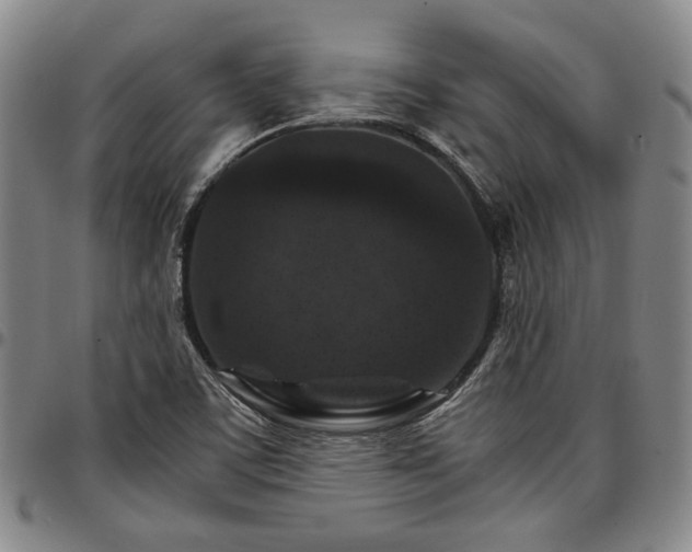 X0000096661459200802191255