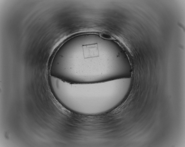 X0000096661460200802191255