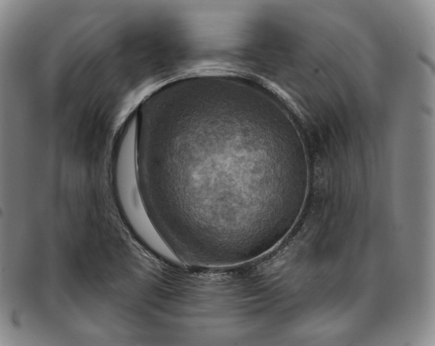 X0000096661461200802191255