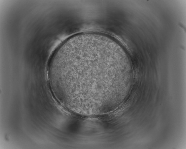 X0000096661462200802191255