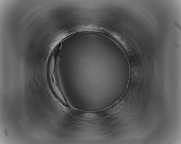 X0000096661463200802191255