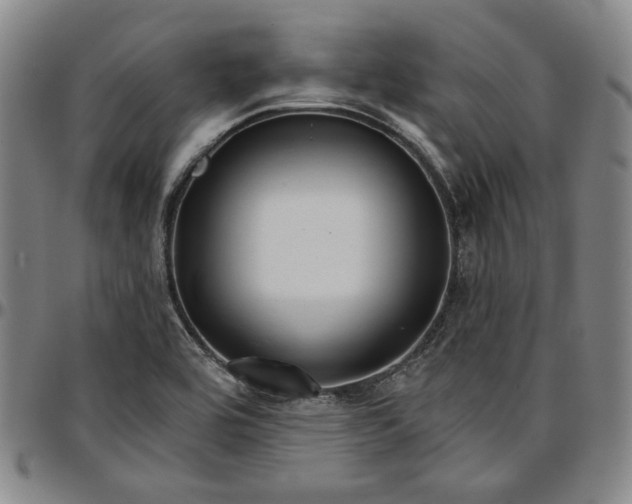 X0000096661464200802191255