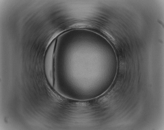 X0000096661465200802191255