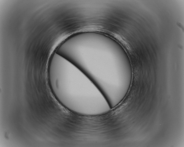 X0000096661469200802191254