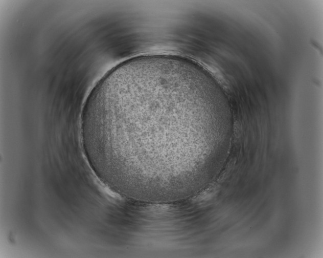 X0000096661470200802191254