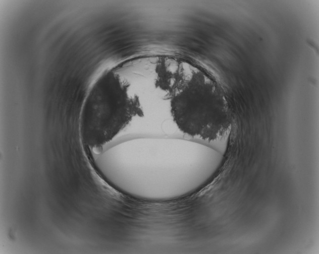 X0000096661471200802191254