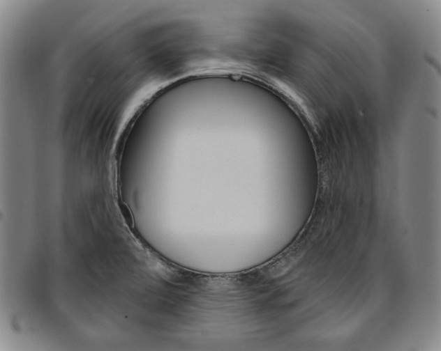 X0000096661472200802191254