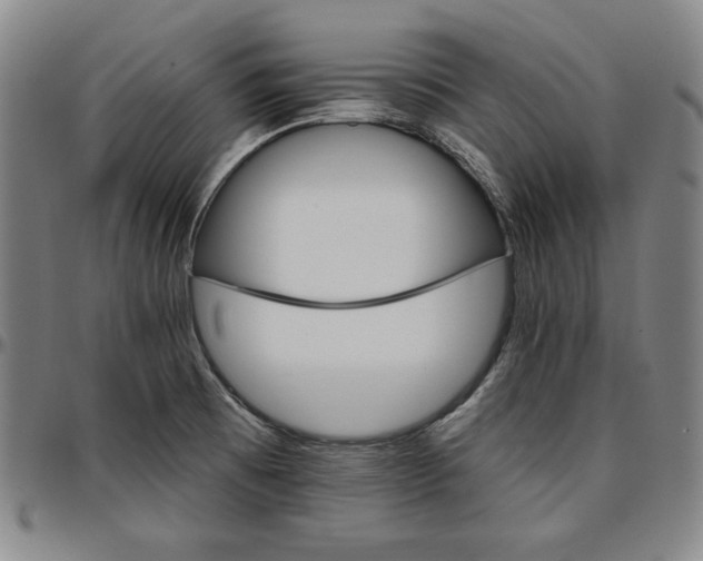 X0000096661473200802191254