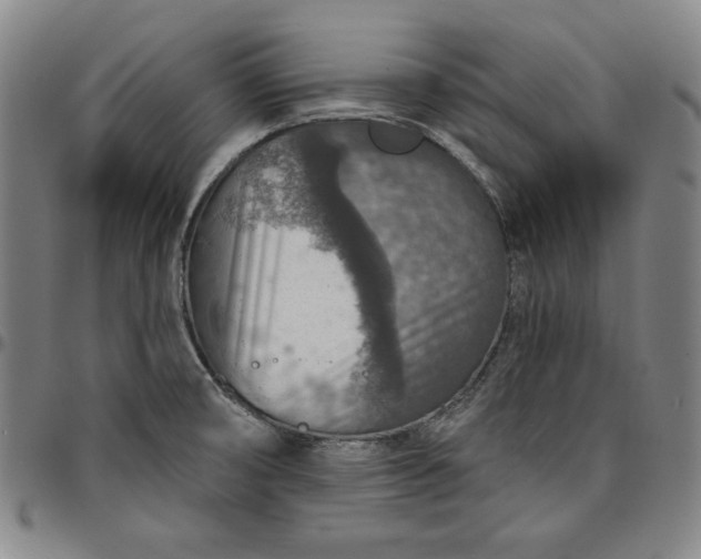 X0000096661474200802191254