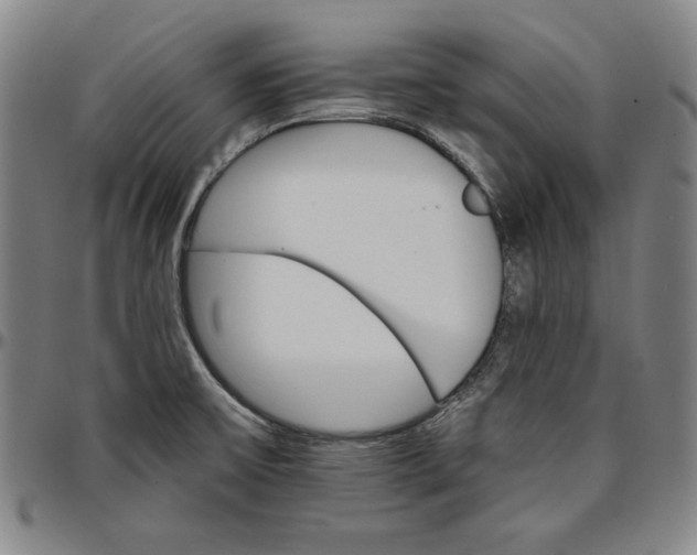 X0000096661475200802191254