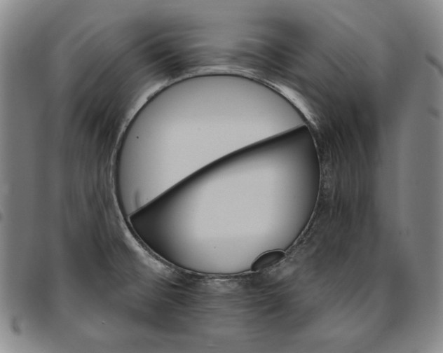 X0000096661476200802191254