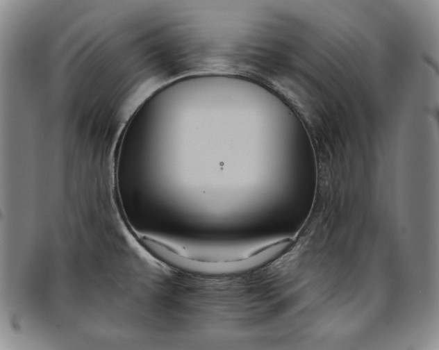 X0000096661479200802191254