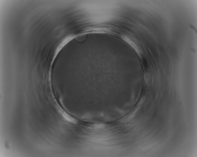 X0000096661482200802191254