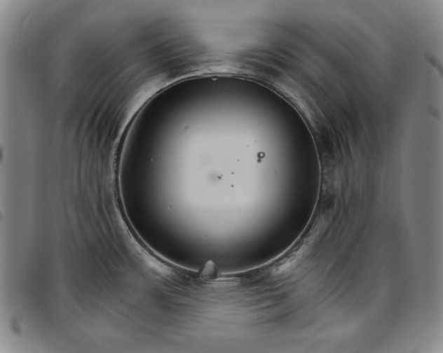 X0000096661483200802191254