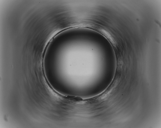 X0000096661484200802191254