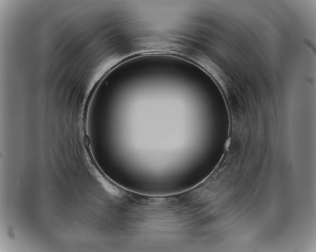 X0000096661485200802191254