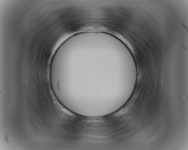 X0000096661486200802191254