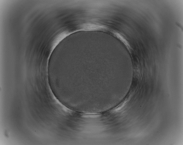 X0000096661487200802191254