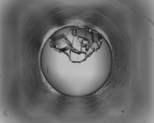 X0000096661488200802191254