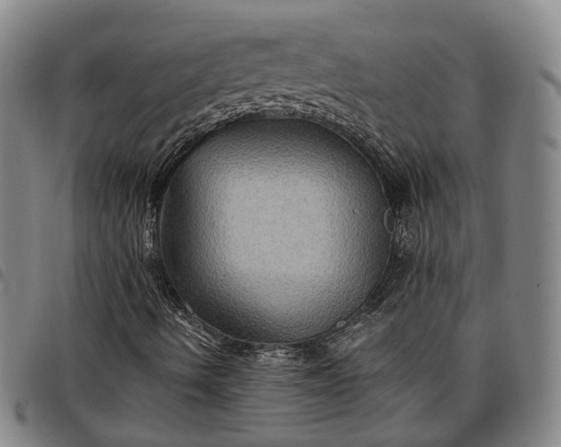 X0000096661490200802191254