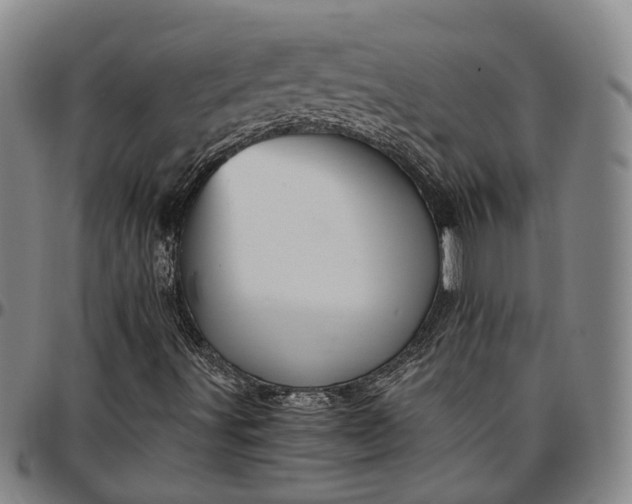 X0000096661491200802191254