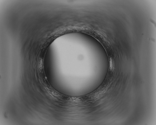 X0000096661492200802191254