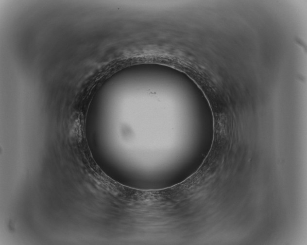 X0000096661493200802191254