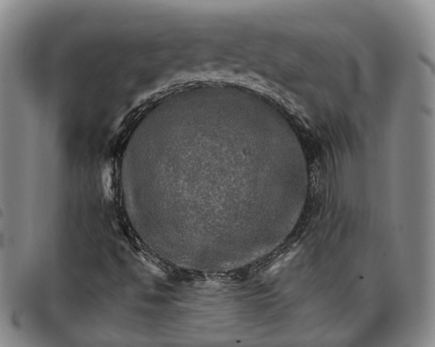 X0000096661494200802191254