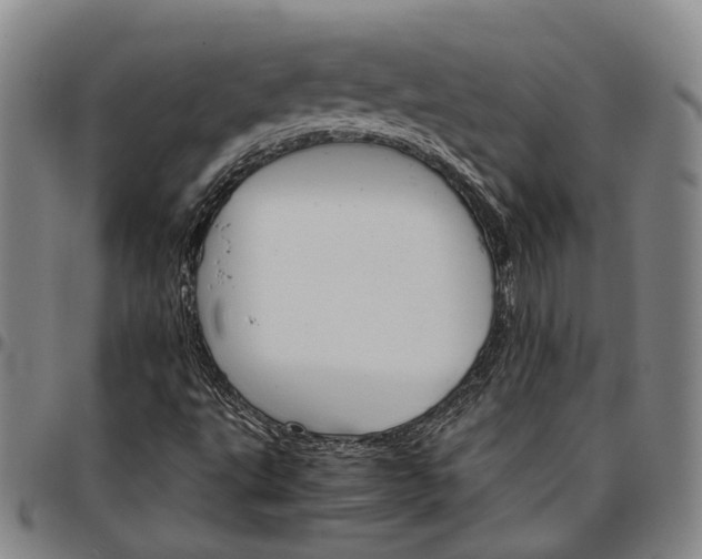 X0000096661495200802191254