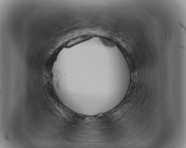 X0000096661496200802191254