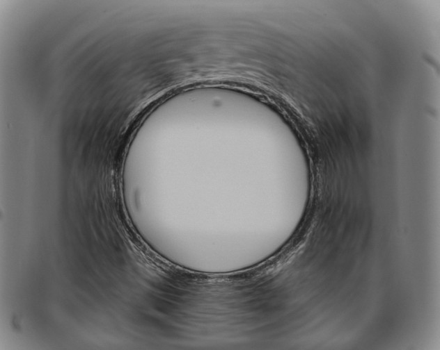 X0000096661497200802191254