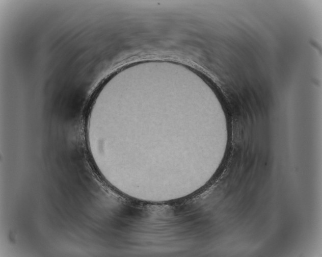 X0000096661498200802191254