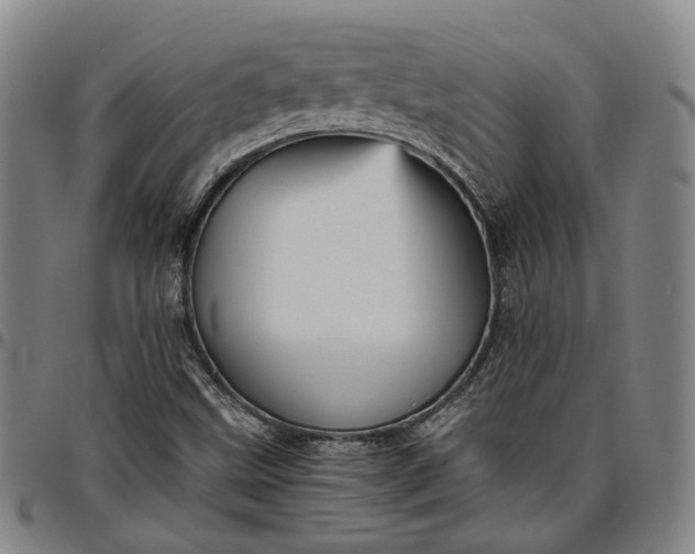 X0000096661499200802191254