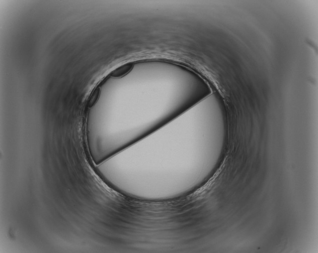 X0000096661500200802191254