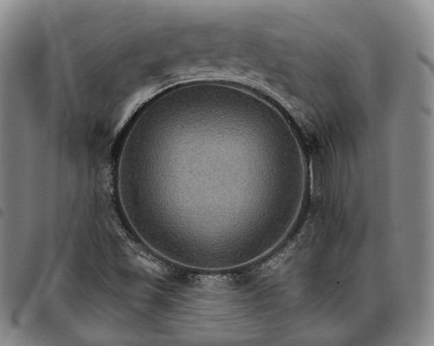 X0000096661501200802191254