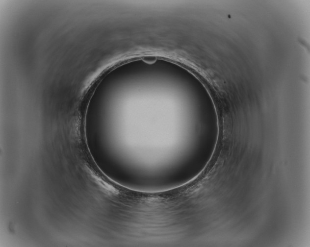 X0000096661502200802191254